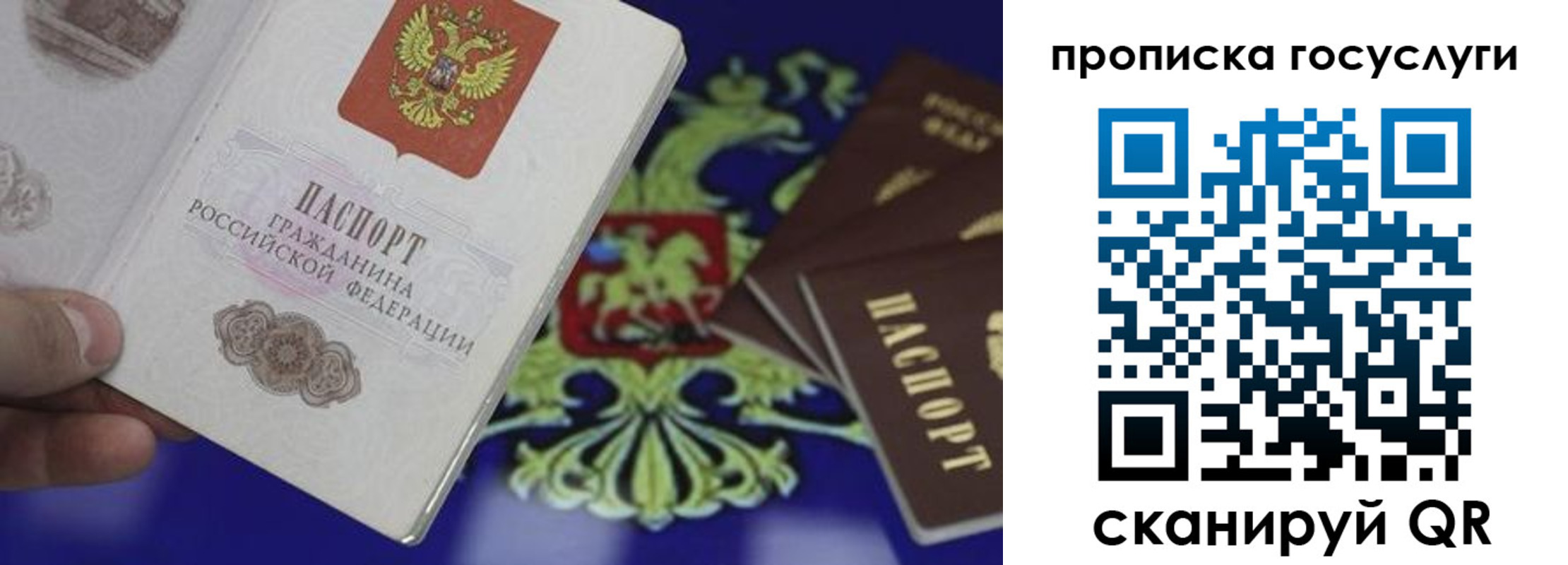 прописка для школы в Лузе